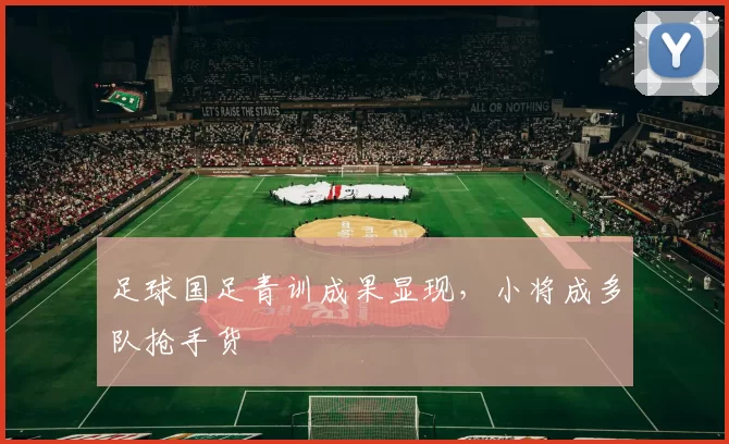 足球国足青训成果显现，小将成多队抢手货