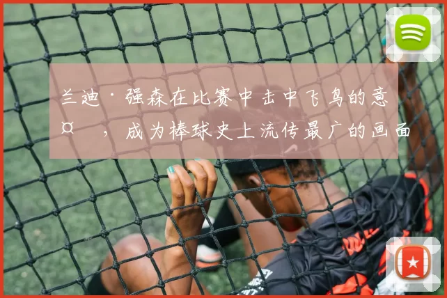 兰迪·强森在比赛中击中飞鸟的意外，成为棒球史上流传最广的画面