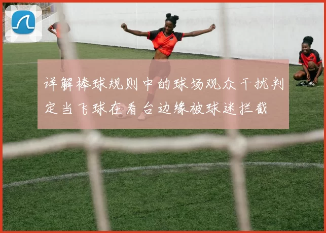详解棒球规则中的球场观众干扰判定当飞球在看台边缘被球迷拦截