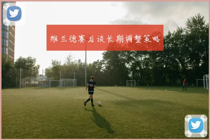 维兰德赛后谈长期调整策略