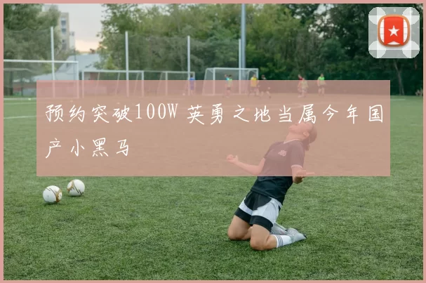 预约突破100W 英勇之地当属今年国产小黑马