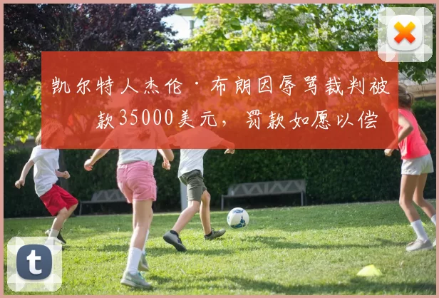 凯尔特人杰伦·布朗因辱骂裁判被罚款35000美元，罚款如愿以偿