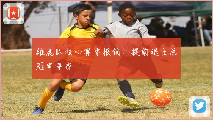 雄鹿队核心赛季报销，提前退出总冠军争夺